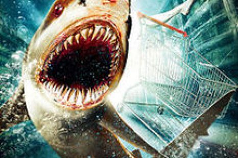 Bait (20102) Trailer