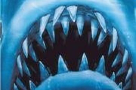 Jaws The Revenge (1987) Review