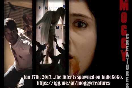 Moggy Creatures launches crowd funding campaign; New behind the scenes images debut!