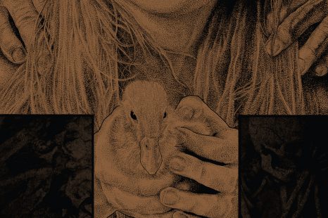 Don’t Torture a Duckling – on Dual Format Blu-ray + DVD on 14 August 2017