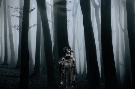 The Body Tree (2016) Review