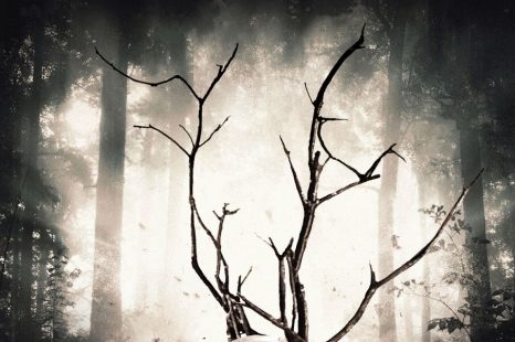 Rootwood (2018) Review