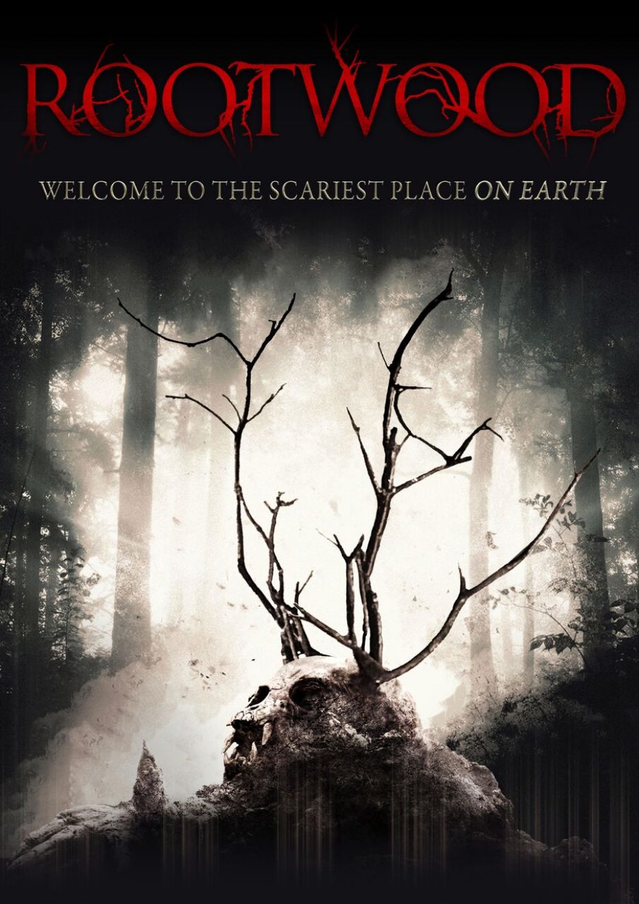 Rootwood (2018) Review