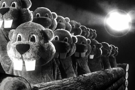 Hundreds of Beavers (2023) Review