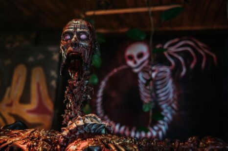 Zombie Horror DECADE OF THE DEAD starring Sean Patrick Thomas