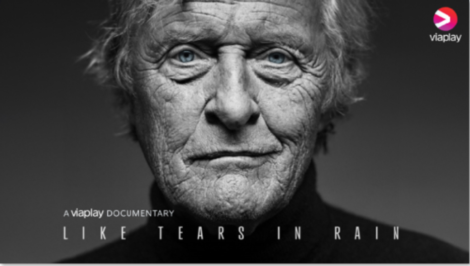 Like Tears in Rain (2024) Review